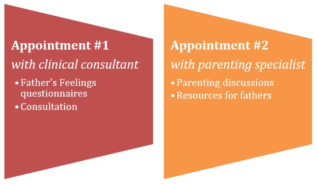 Father's Feelings 2 Appointments: Appointment 1 with clinical consultant includes Father's Feelings questionnaires and consultation. Appointment 2 with parenting specialist includes parenting discussions and resources for fathers.